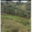  Land for sale in Marinilla, Antioquia, Marinilla