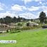  Land for sale in Valle, Cuenca, Valle