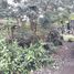  Terreno (Parcela) en venta en Ngaglik, Yogyakarta, Ngaglik, Sleman, Yogyakarta