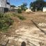  Terreno (Parcela) en alquiler en Merida, Yucatán, Merida