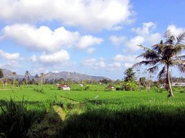  Grundstück zu verkaufen in Klungkung, Bali, Klungkung, Klungkung