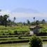  Grundstück zu verkaufen in Klungkung, Bali, Klungkung, Klungkung