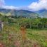  Land for sale in Calima, Valle Del Cauca, Calima