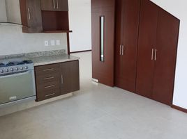 4 Habitación Casa en alquiler en Santa Isabel Cholula, Puebla, Santa Isabel Cholula, Puebla