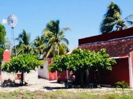 Studio House for sale in Temax, Yucatan, Temax