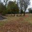  Land for sale in Chile, Temuco, Cautin, Araucania, Chile
