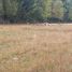  Land for sale in Chile, Temuco, Cautin, Araucania, Chile