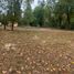  Land for sale in Chile, Temuco, Cautin, Araucania, Chile