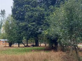  Land for sale in Chile, Temuco, Cautin, Araucania, Chile