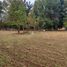  Land for sale in Chile, Temuco, Cautin, Araucania, Chile