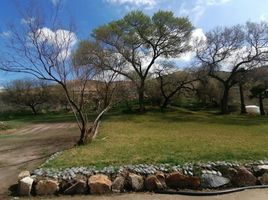  Grundstück zu verkaufen in Tecate, Baja California, Tecate, Baja California