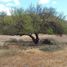  Grundstück zu verkaufen in Tecate, Baja California, Tecate, Baja California