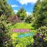  Land for sale in Chile, Purranque, Osorno, Los Lagos, Chile