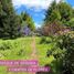  Land for sale in Chile, Purranque, Osorno, Los Lagos, Chile