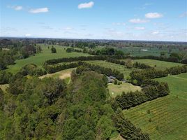  Land for sale in Chile, Purranque, Osorno, Los Lagos, Chile
