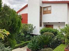 7 Schlafzimmer Haus zu verkaufen in Benito Juarez, Mexico City, Benito Juarez