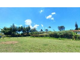  Land for sale in La Ceja, Antioquia, La Ceja