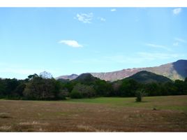  Terreno (Parcela) en venta en Carmen De Apicala, Tolima, Carmen De Apicala