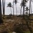  Land for sale in Tecuala, Nayarit, Tecuala