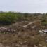  Land for sale in Tecuala, Nayarit, Tecuala
