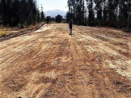  Terreno (Parcela) en venta en Viña del Mar, Valparaíso, Viña del Mar
