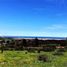  Terreno (Parcela) en venta en Viña del Mar, Valparaíso, Viña del Mar