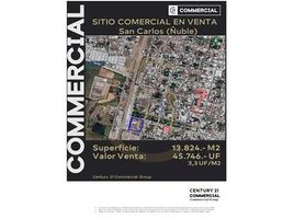  Land for sale in Nuble, San Nicolas, Punilla, Nuble