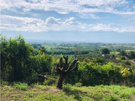  Land for sale in Armenia, Quindio, Armenia