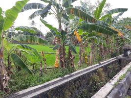 Terreno (Parcela) en venta en Seyegan, Yogyakarta, Seyegan