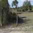  Land for sale in Rioverde, San Luis Potosi, Rioverde