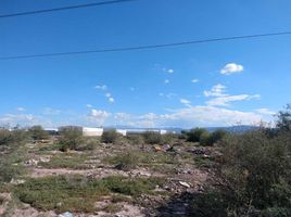 Terrain à vendre à Torreon, Coahuila, Torreon