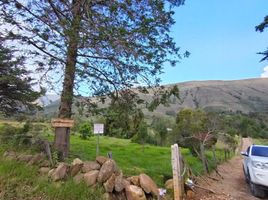  Land for sale in Villa De Leyva, Boyaca, Villa De Leyva