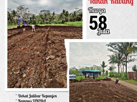  Land for sale in Malang Regency, East Jawa, Kepanjen, Malang Regency