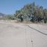  Land for sale in Ajacuba, Hidalgo, Ajacuba