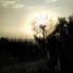  Land for sale in Huimilpan, Queretaro, Huimilpan