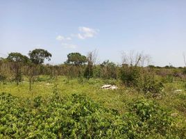  Land for sale in Motul, Yucatan, Motul