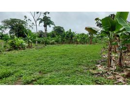  Land for sale in Boqueron, Chiriqui, Boqueron, Boqueron