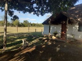 2 Schlafzimmer Haus zu verkaufen in Tizimin, Yucatan, Tizimin