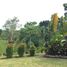  Land for sale in Bohol, Central Visayas, Tagbilaran City, Bohol