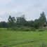  Land for sale in Tepeji Del Rio De Ocampo, Hidalgo, Tepeji Del Rio De Ocampo
