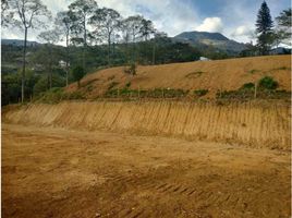  Terrain for sale in Girardota, Antioquia, Girardota