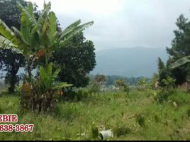  Tanah for sale in Cisarua, West Jawa, Cisarua