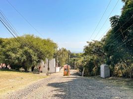 Terrain à vendre à Ixtlahuacan De Los Membrillos, Jalisco, Ixtlahuacan De Los Membrillos