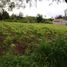  Terreno (Parcela) en venta en Kalasan, Yogyakarta, Kalasan, Sleman, Yogyakarta