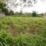  Terreno (Parcela) en venta en Kalasan, Yogyakarta, Kalasan, Sleman, Yogyakarta