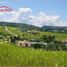  Land for sale in Rizal, Calabarzon, Antipolo City, Rizal