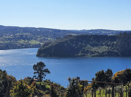  Land for sale in Chile, Castro, Chiloe, Los Lagos, Chile