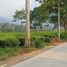  Terrain for sale in Puncak Gunung Mas Tea Gardens, Cisarua, Cisarua