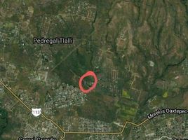  Land for sale in Tlayacapan, Morelos, Tlayacapan