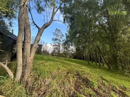  Terreno (Parcela) en venta en Llanquihue, Los Lagos, Puerto Varas, Llanquihue